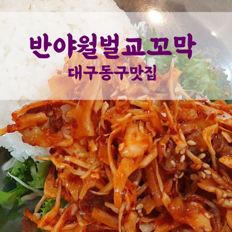  반야월 맛집 반야월 벌교꼬막