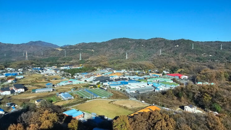  너는 좋으냐 낙엽밟는 소리가. 아파트청소 마지막날.