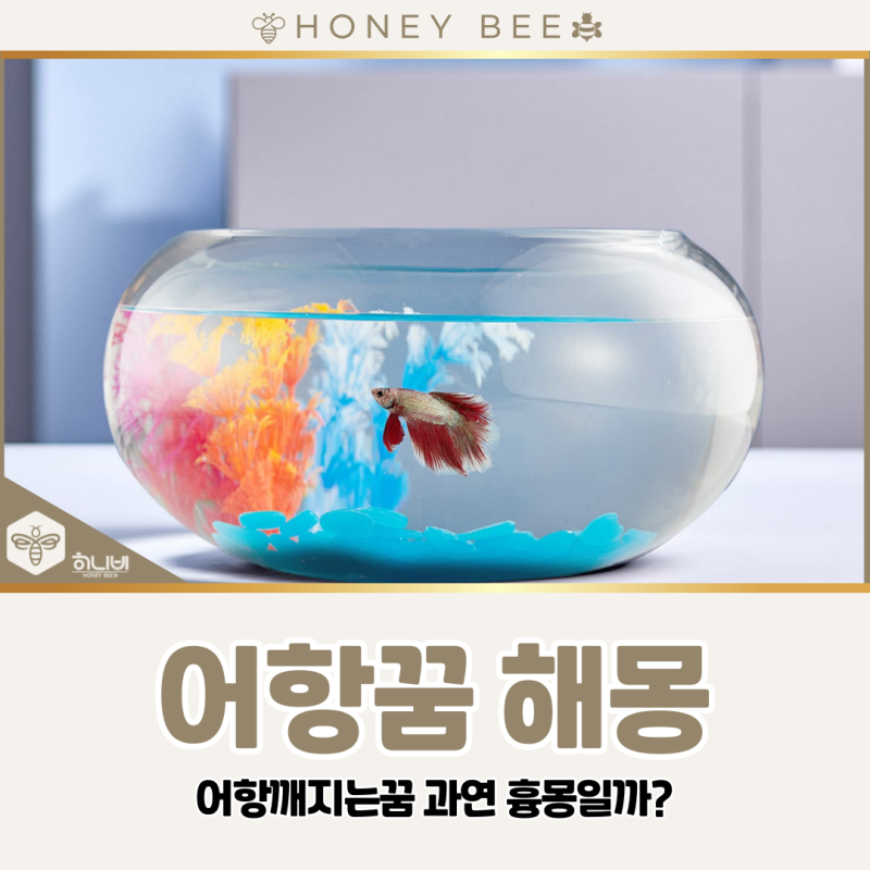 어항꿈 해몽, 어항깨지는꿈 과연 흉몽일까?