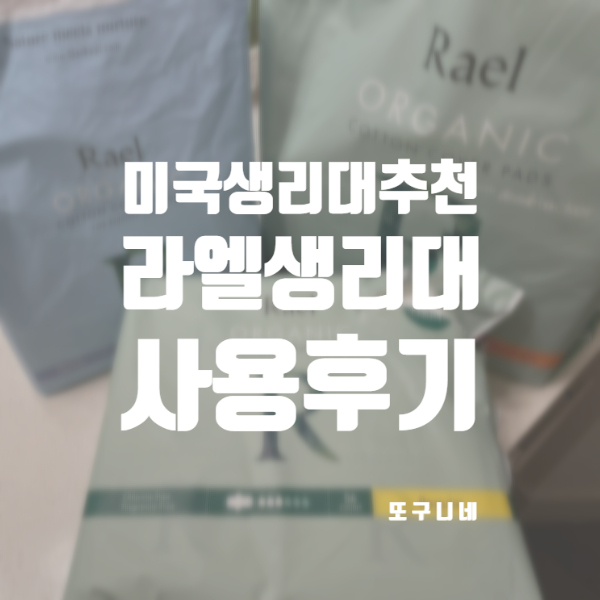  미국 생리대 추천! 아마존 라엘 생리대 후기 (팬티라이너, 중형, 오버나이트)