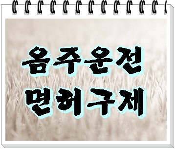  전주 음주운전 면허 구제 방안에 대해