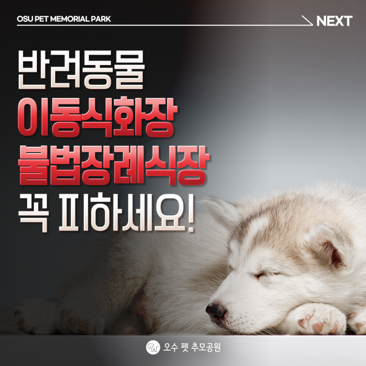  반려동물 이동식화장 불법장례식장 꼭 피하세요!