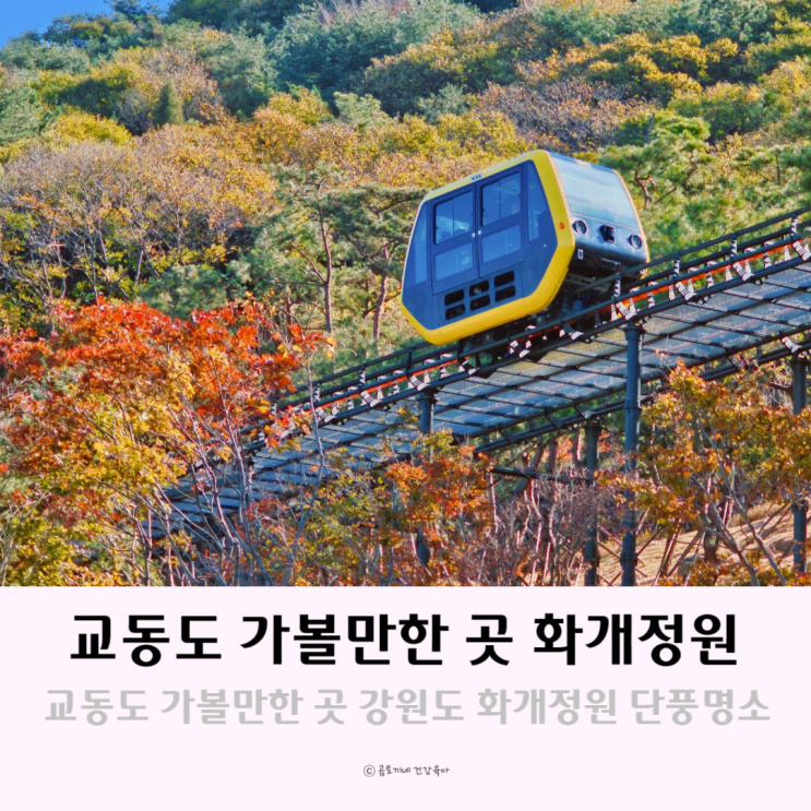 교동도 가볼만한 곳 강화도 화개정원 경기도 단풍명소 교동도 가볼만한 곳 강화도 화개정원 경기도 단풍명소