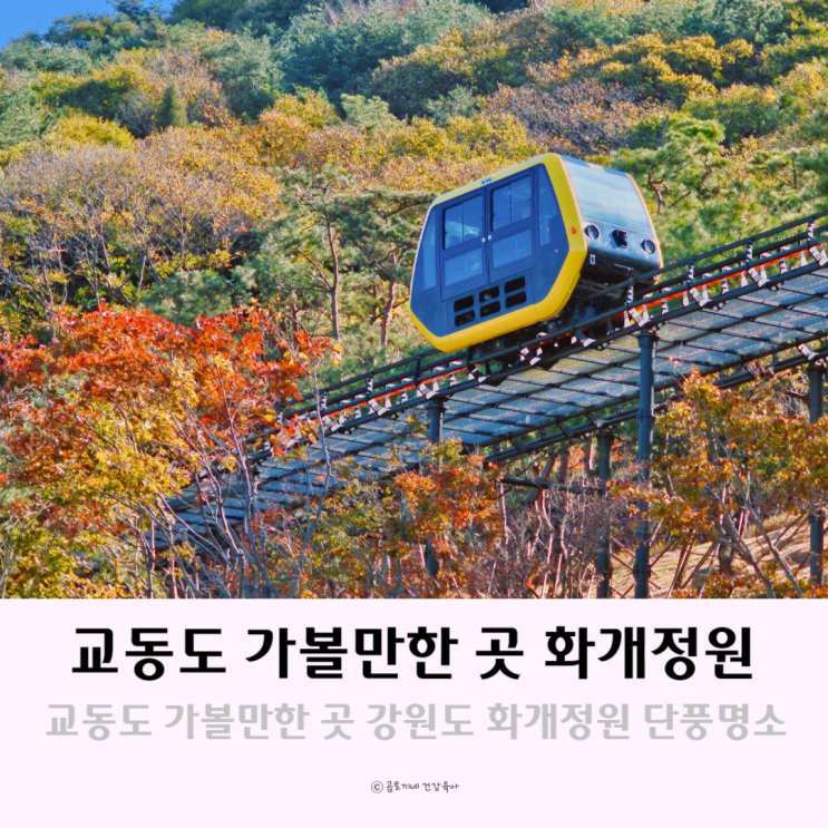 교동도 가볼만한 곳 강화도 화개정원 경기도 단풍명소