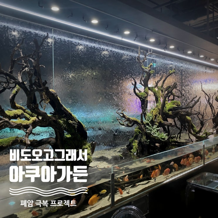  기흥 리빙파워센터에 물생활의 천국 아쿠아가든 카페에서 물멍 - 곤지암 한달살기 6일차