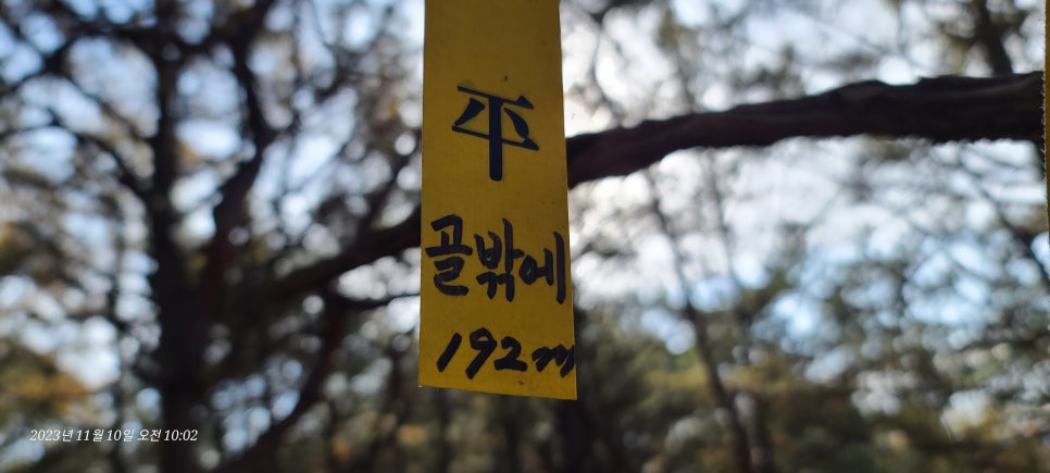 능산 사진 4