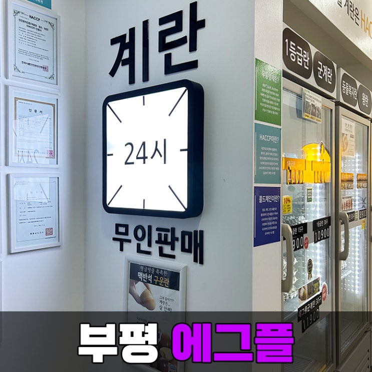  무인 가게 무항생제 무인 계란 판매점 에그플(eggple) 부평 부개점