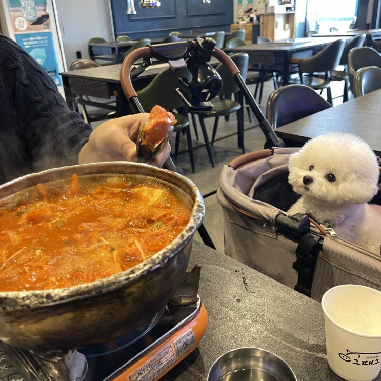  애견 동반 식당 제주공항 그때그집 에서 제주 첫날 간단 점심 해결
