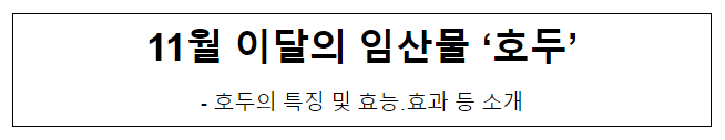 11월 이달의 임산물 ‘호두’