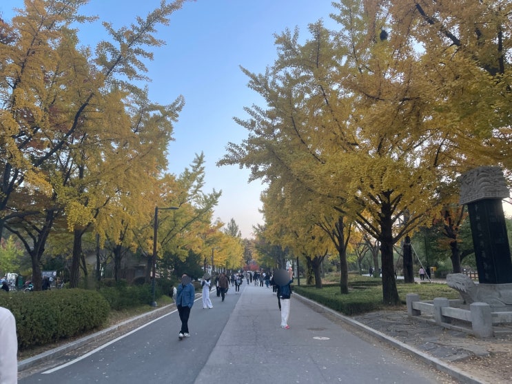 가을 산책과 나들이하기 좋은 보라매공원