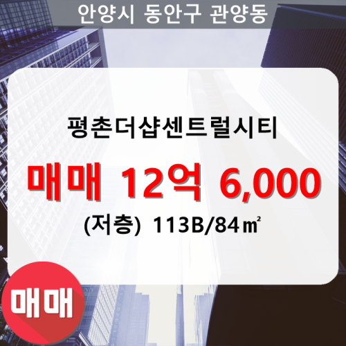  관양동 평촌더샵센트럴시티 아파트 104동 113B/84 매매(저/29층)