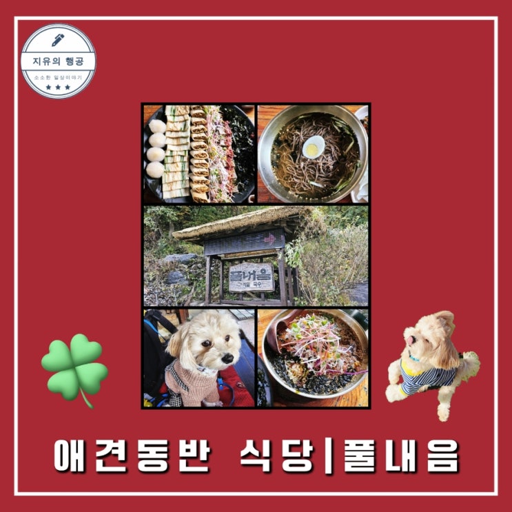 풀내음ㅣ강원도 평창 봉평 맛집 애견 동반 식당 내돈내산 솔직 후기