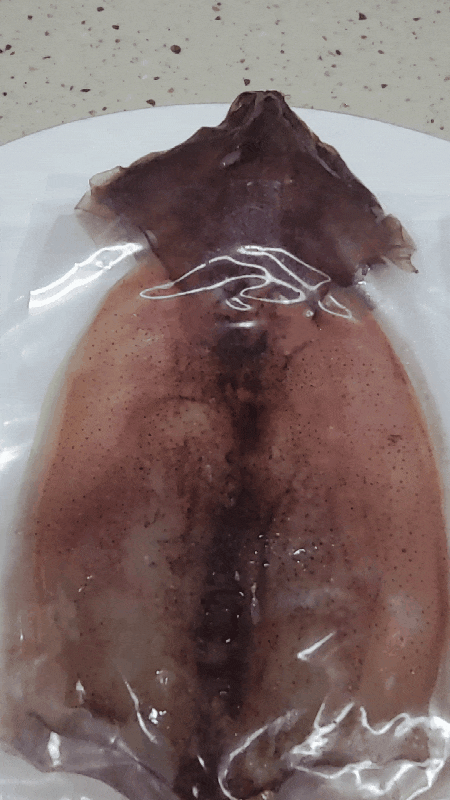  마싯구룡 포항 구룡포 반건조 오징어 10마리, 원양산