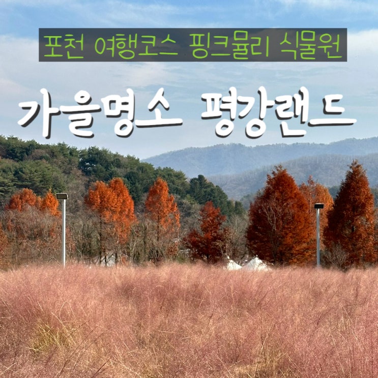  포천 평강랜드 식물원 가을 가볼만한곳 포천여행