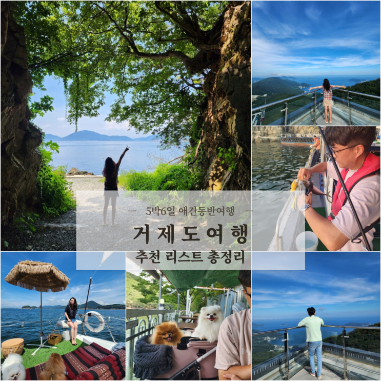  거제도 5박6일 애견동반 여행코스 맛집 / 가볼만한곳 / 관광지 / 숙소 추천 리스트 총정리