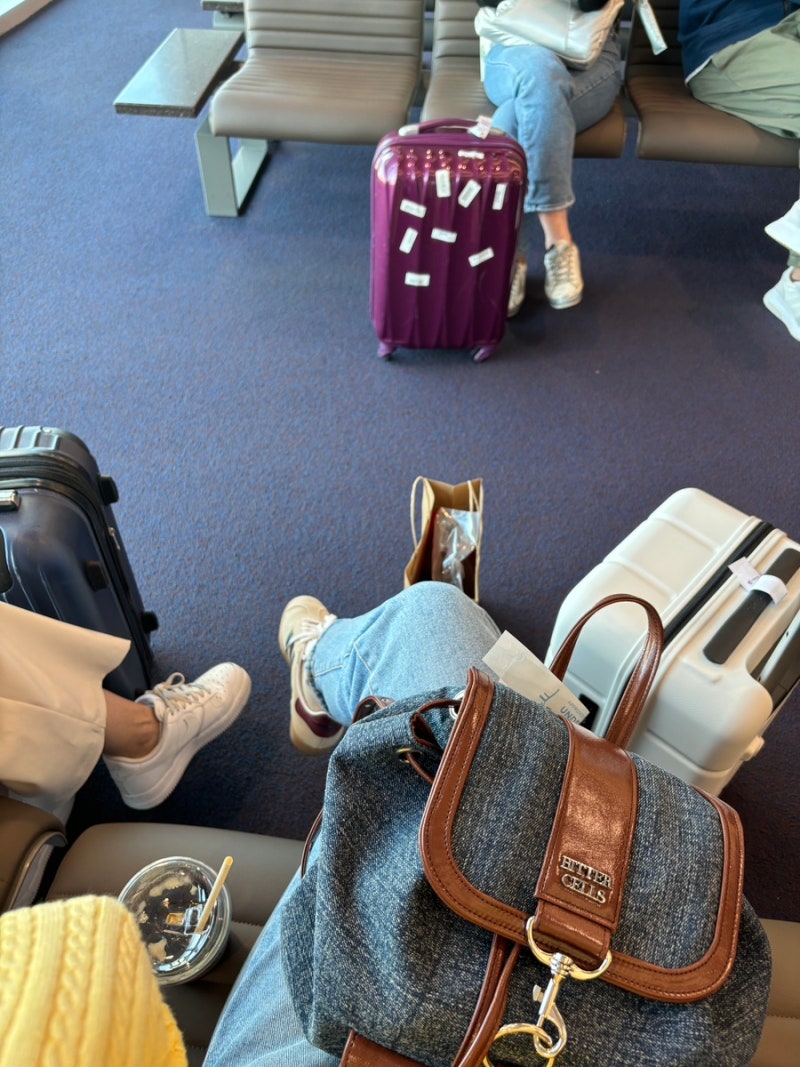 홍콩 익스프레스 후기 HK express 기내 수하물 모바일 체크인 : 네이버 블로그