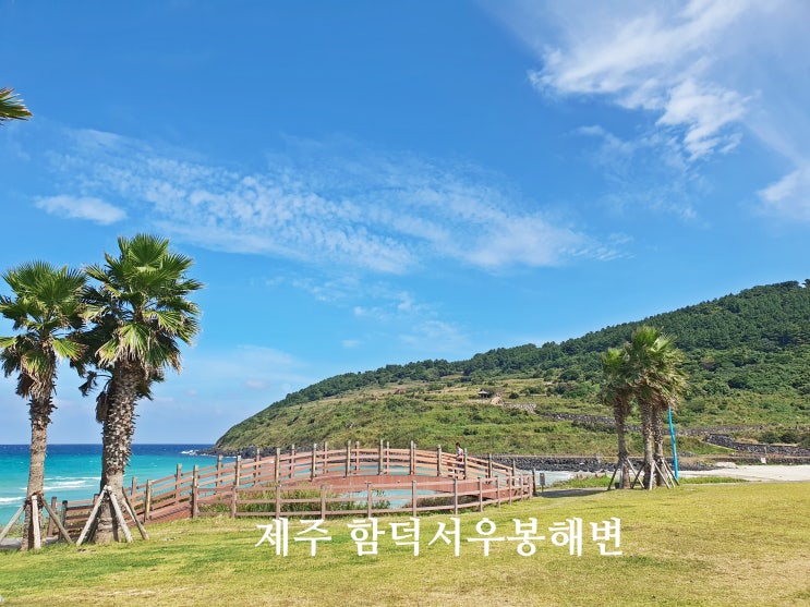 제주도 가족여행코스 가볼만한곳 <b>제주 함덕 서우봉</b>해변 해수욕장