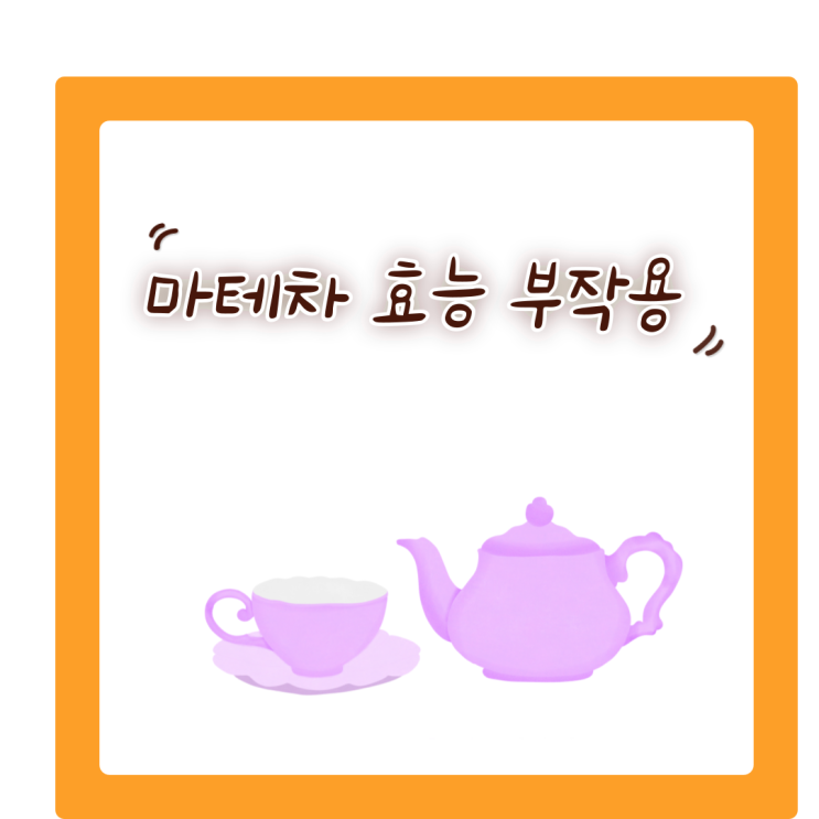  마테차 효능 및 주의 사항