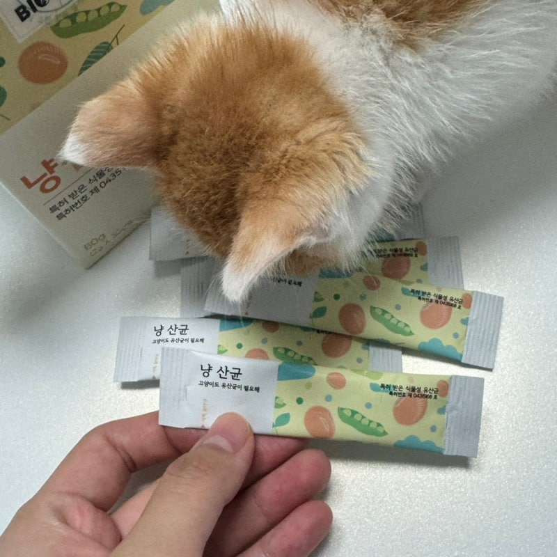고양이 유산균 추천 바이오펫츠 냥산균3.0