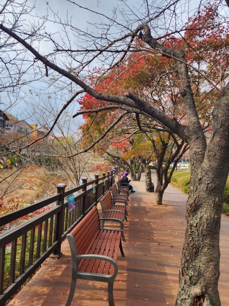  안양예술공원 맛집 콩서리순두부 안양유원지 두부버섯전골