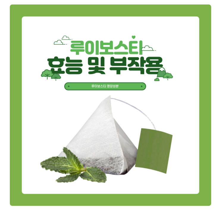  루이보스티 효능 및 부작용