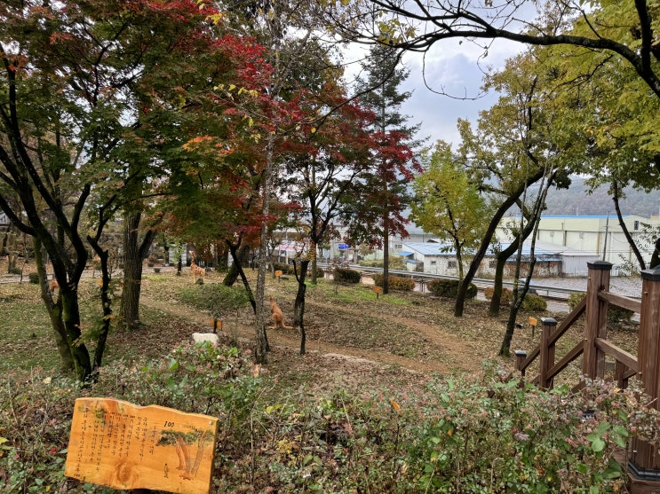 도심 속 생태학습 공간, ‘우수 학교숲’ 선정 도심 속 생태학습 공간, ‘우수 학교숲’ 선정