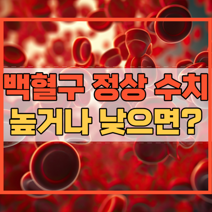  백혈구 수치 높으면 and 낮으면 백혈구 정상 수치 얼마 일까요?