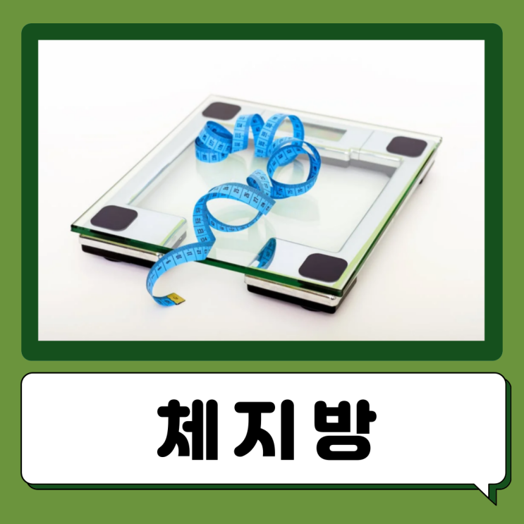  체지방량 체지방률 차이 낮추는법