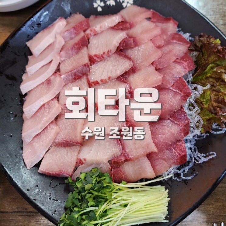  대방어철 KT위즈파크 조원동맛집 회타운 방문해서 대방어 먹은 후기