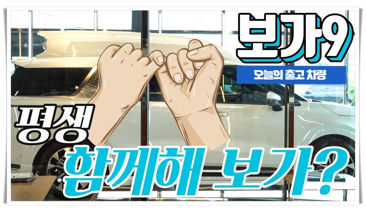  평생 함께할 최고의 카니발 하이리무진 보가9