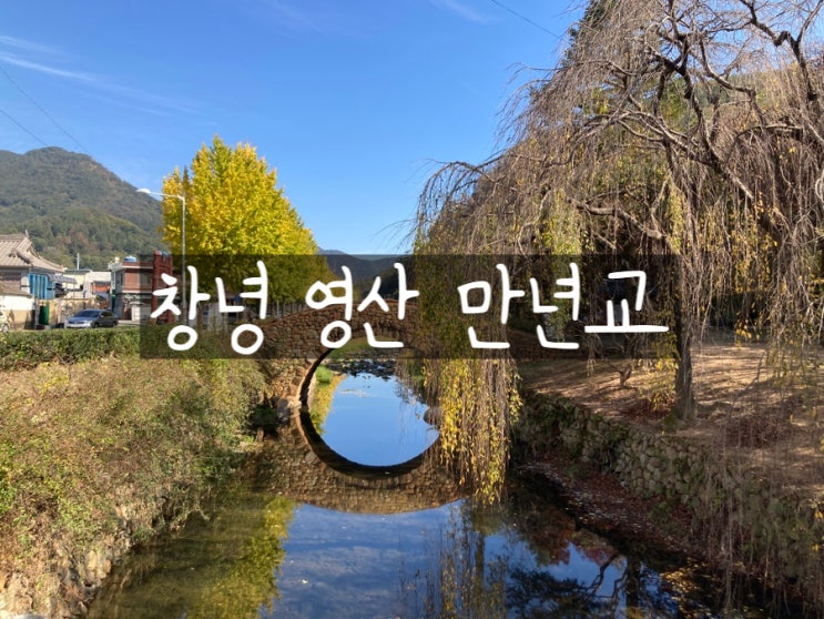 경남 가볼만한곳 창녕 영산 만년교 포토존 단풍현황