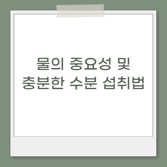  포항피티 점핑운동과 물의 중요성 및 충분한 수분 섭취법