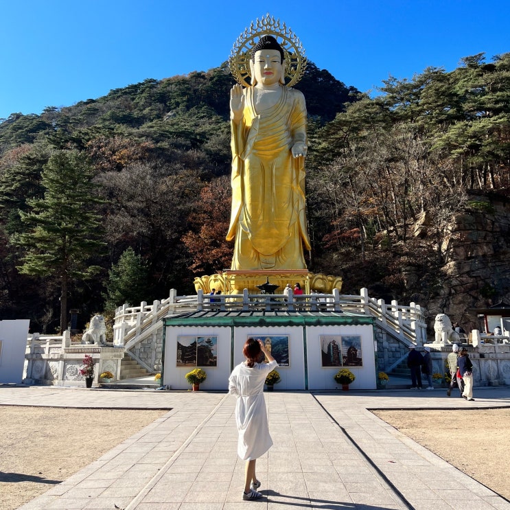  가을 속리산 법주사 11월 단풍 주차비 현황