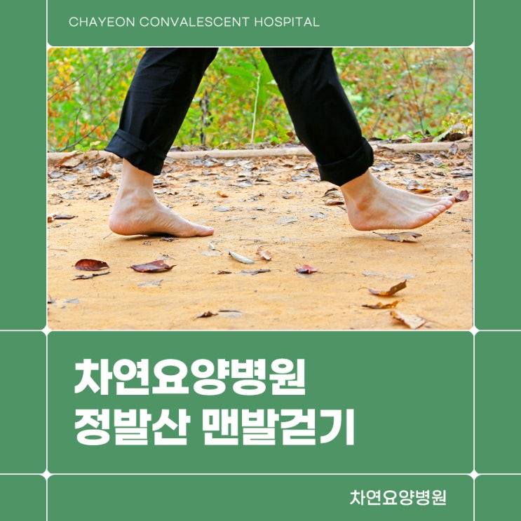  차연요양병원 정발산 맨발걷기 실천해 보아요