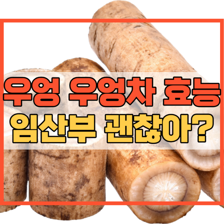  우엉 효능 및 우엉차 효과 임산부 먹어도 될까?