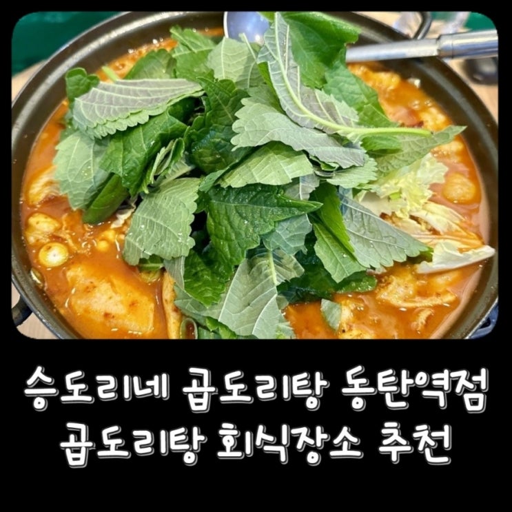  동탄 2 | 승도리네 곱도리탕 동탄역점, 동탄역 맛집 회식장소 추천