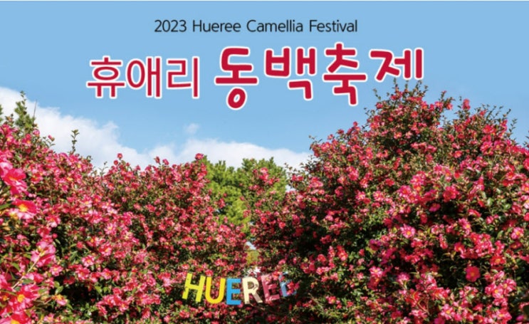 휴애리 동백 축제 (23.11.14~24.01.31) 휴애리 동백 축제 (23.11.14~24.01.31)