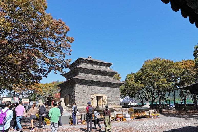 경주 여행 분황사 코스모스 경주 황룡사지 황룡사 9층목탑 문화관 ...