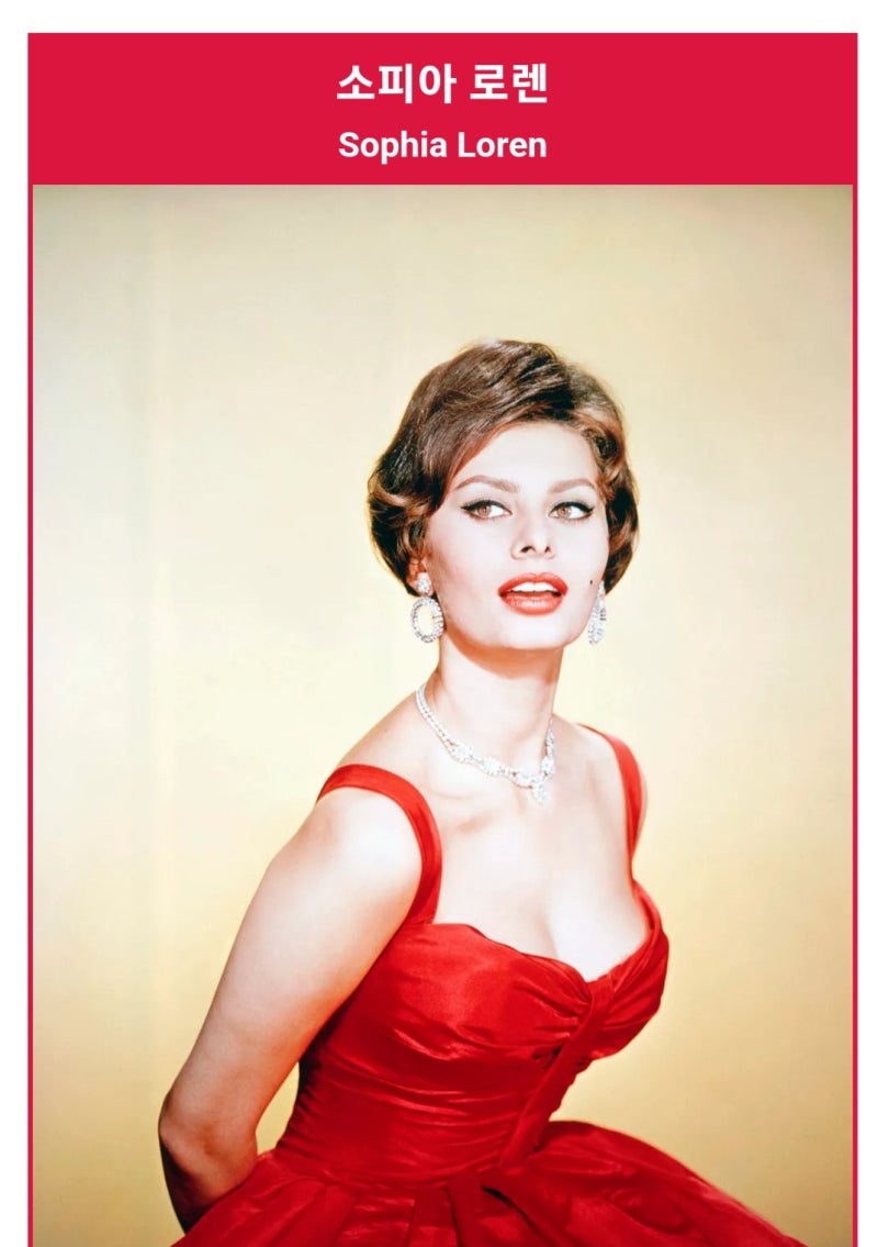 소피아 로렌의 공부명언 한마디 : 네이버 블로그, image size:800x1135