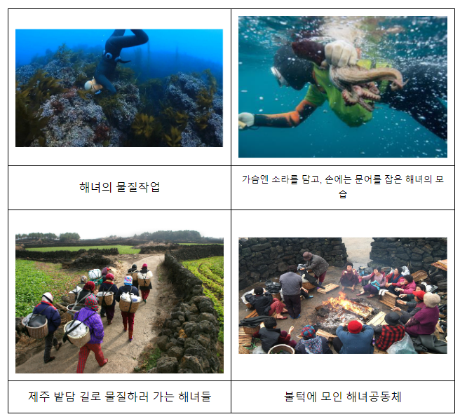 제주해녀어업, 세계중요농어업유산 등재 제주해녀어업, 세계중요농어업유산 등재