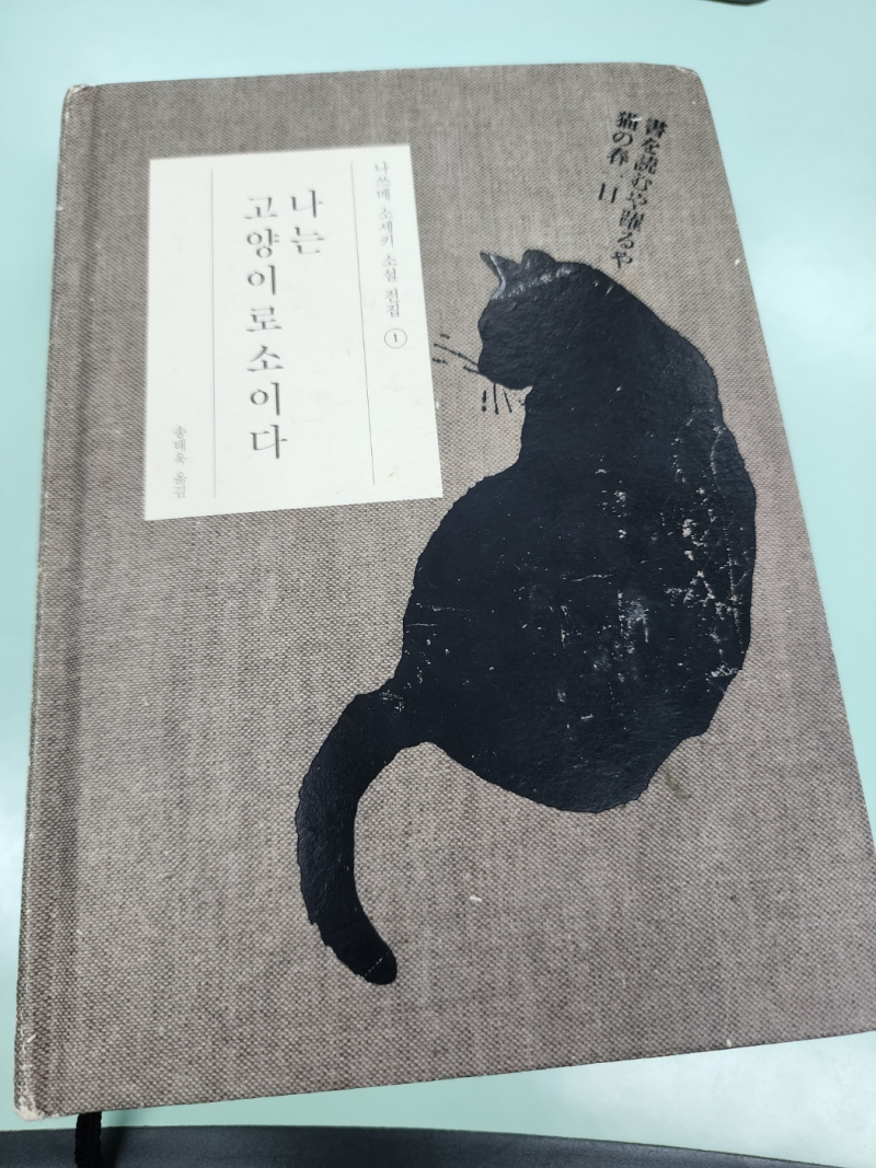 토요일 - 소노마 카운티 동물보호협회, image size:800x1067