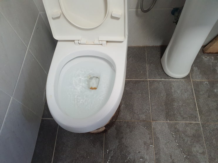변기 바닥 틈새로 물새는 이유 오수관 막혔을때 화장실 변기 막힘