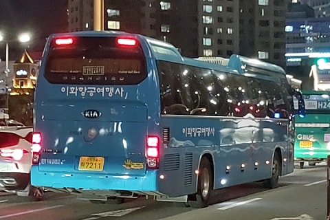 이화여행사 이미지