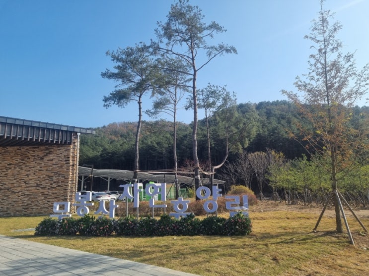  무봉산 자연휴양림 오두막과 숲길산책