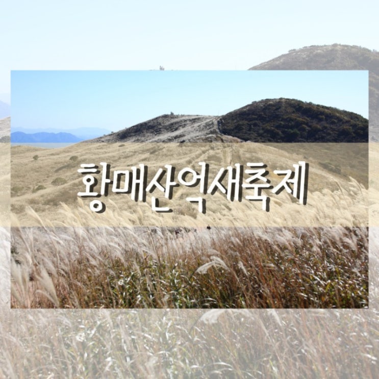  경남합천여행 가을억새가 반짝이는 황매산군립공원 (억새축제전 후기)