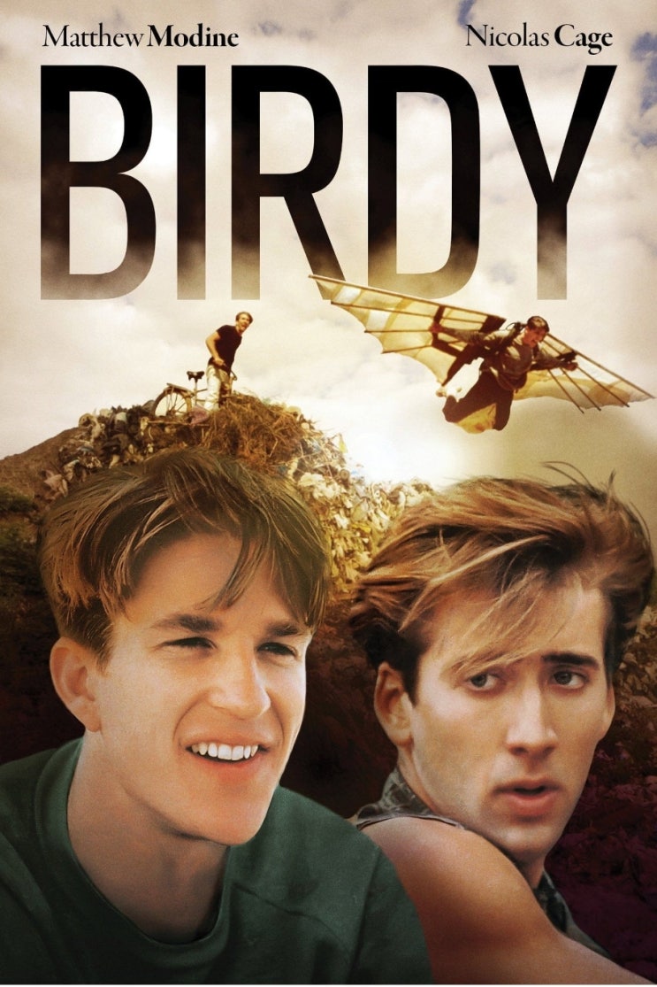  버디(BIRDY)
