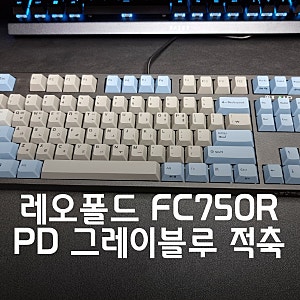 레오폴드 FC750R PD 그레이 블루 적축 기계식 키보드