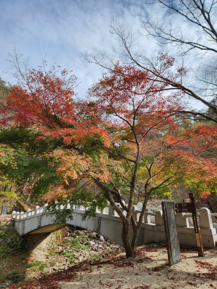 전라도 여행 :: 단풍놀이 순창 강천산 군립공원