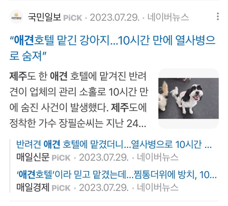 사진 9