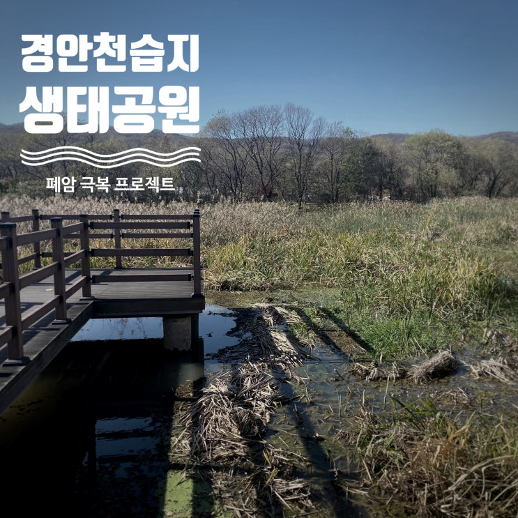  경기 광주 8경 중 3경 경안천 습지생태공원에 가긴 했는데... - 곤지암 한달살기 7일차